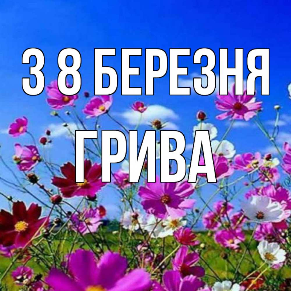 Открытка на каждый день з підписом, Грива З 8 БЕРЕЗНЯ цветы Прикольна листівка з побажанням онлайн скачати безкоштовно 
