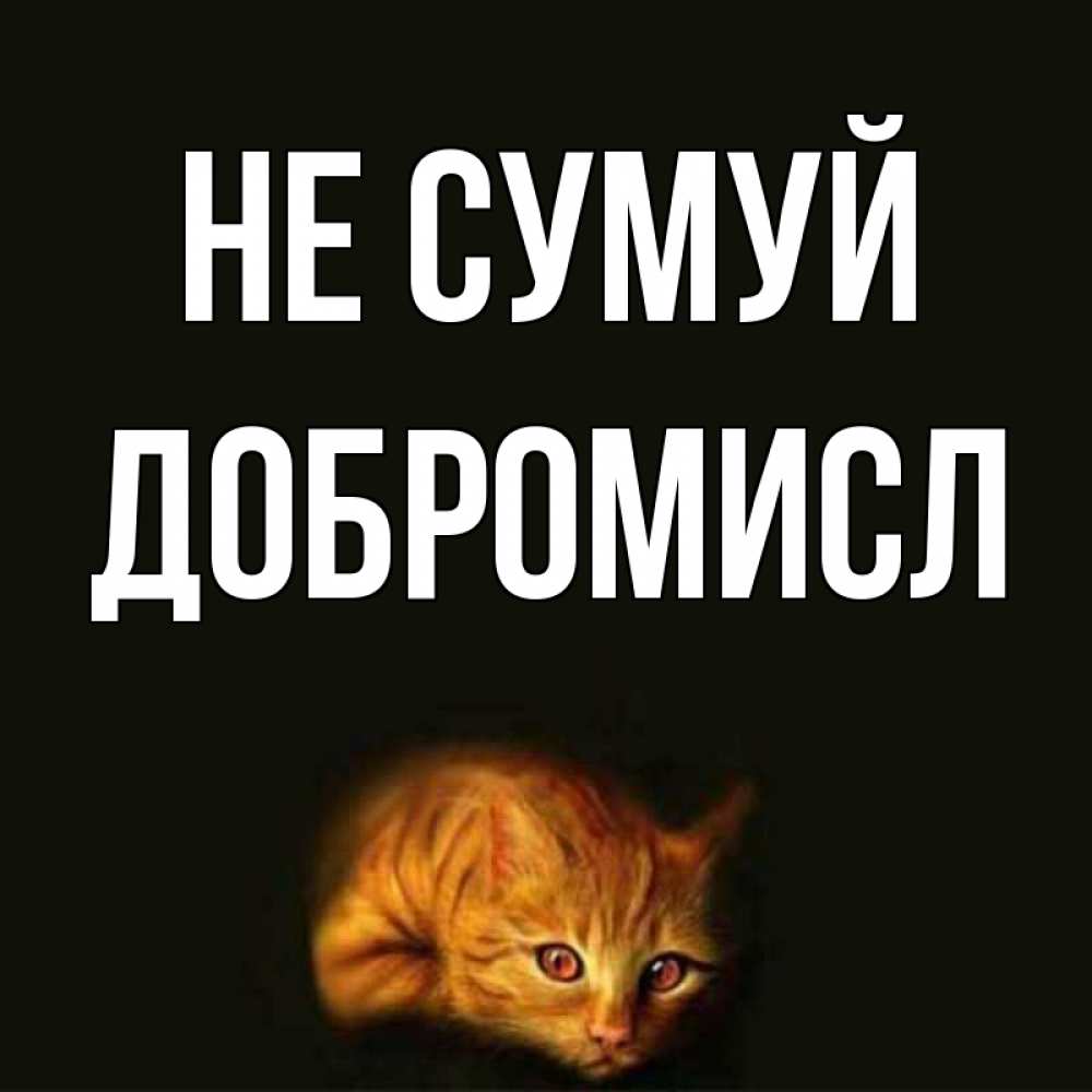 Открытка на каждый день з підписом, Добромисл Не сумуй лежащий кот в темноте Прикольна листівка з побажанням онлайн скачати безкоштовно 