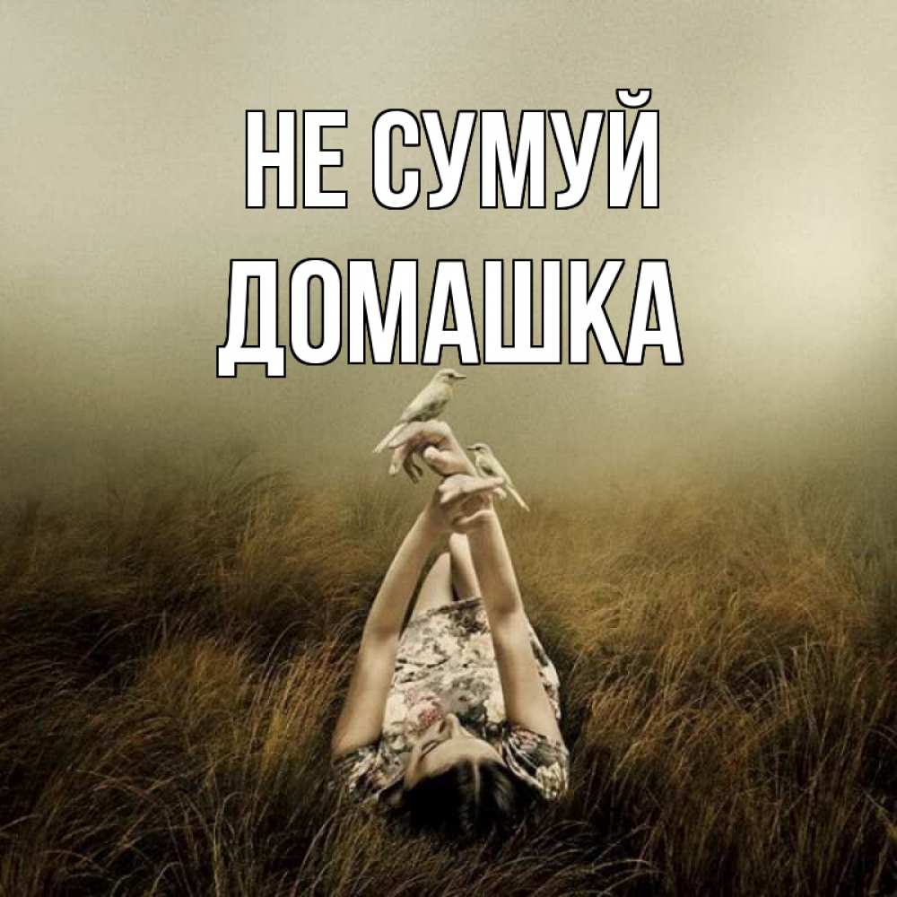 Открытка на каждый день з підписом, Домашка Не сумуй поле и туман Прикольна листівка з побажанням онлайн скачати безкоштовно 