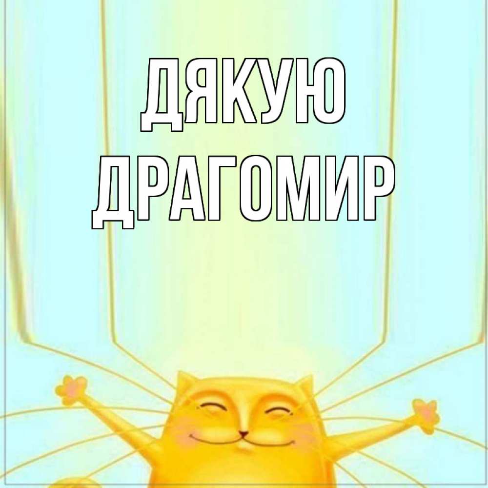 Открытка на каждый день з підписом, Драгомир Дякую кот с усами благодарит Прикольна листівка з побажанням онлайн скачати безкоштовно 