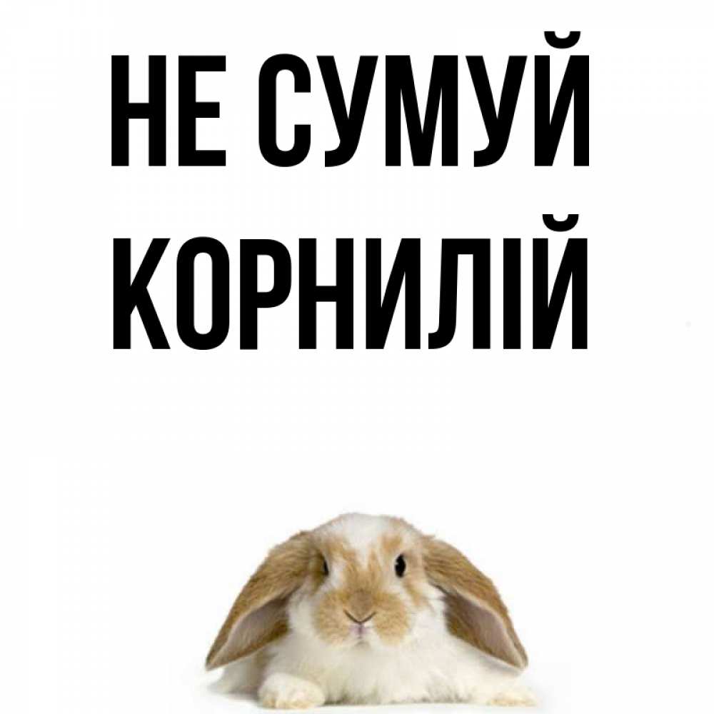 Открытка на каждый день з підписом, Корнилій Не сумуй коричнево белый заяц с большими ушками Прикольна листівка з побажанням онлайн скачати безкоштовно 