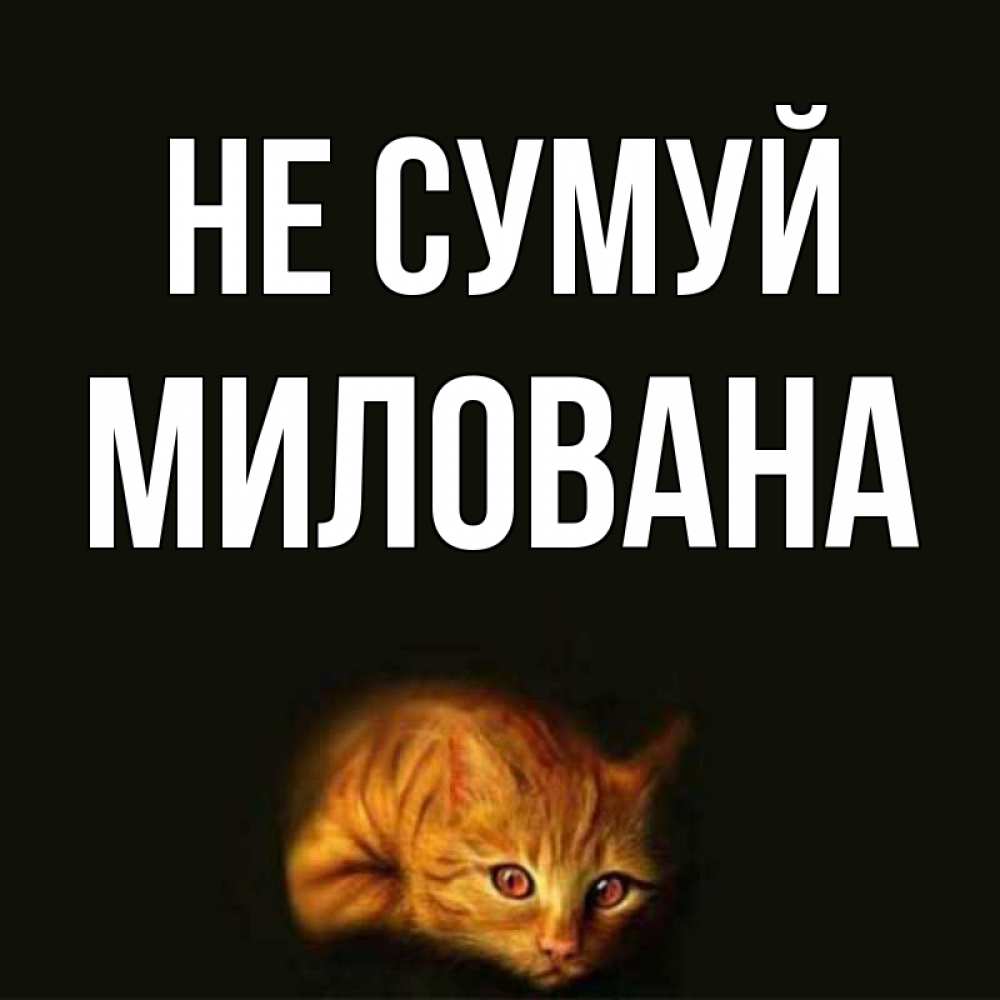 Открытка на каждый день з підписом, Милована Не сумуй лежащий кот в темноте Прикольна листівка з побажанням онлайн скачати безкоштовно 