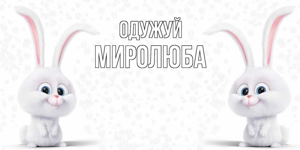 Открытка на каждый день з підписом, Миролюба Одужуй не болей с зайцем Прикольна листівка з побажанням онлайн скачати безкоштовно 
