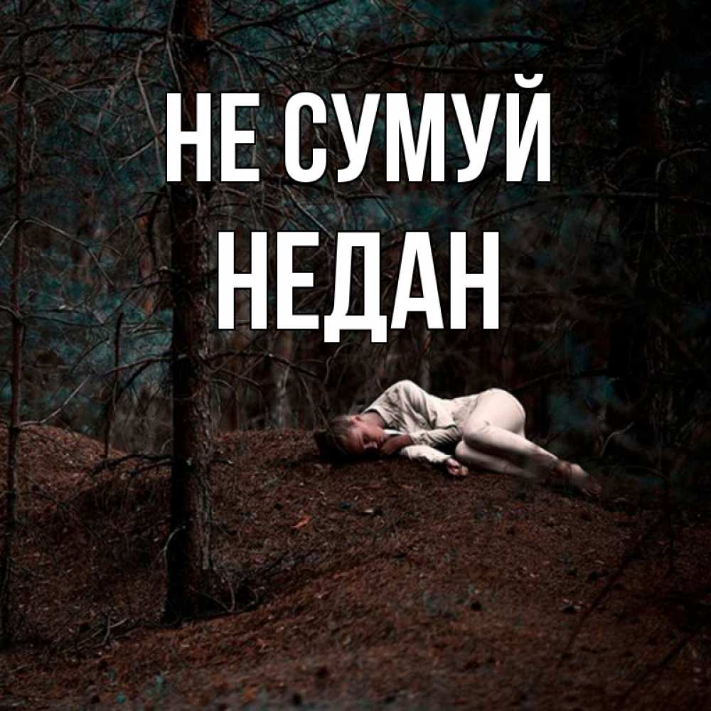 Открытка на каждый день з підписом, Недан Не сумуй лес Прикольна листівка з побажанням онлайн скачати безкоштовно 