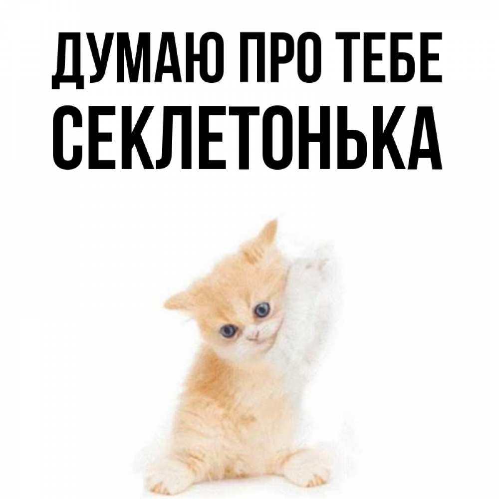 Открытка на каждый день з підписом, Секлетонька Думаю про тебе зверушки и милота Прикольна листівка з побажанням онлайн скачати безкоштовно 