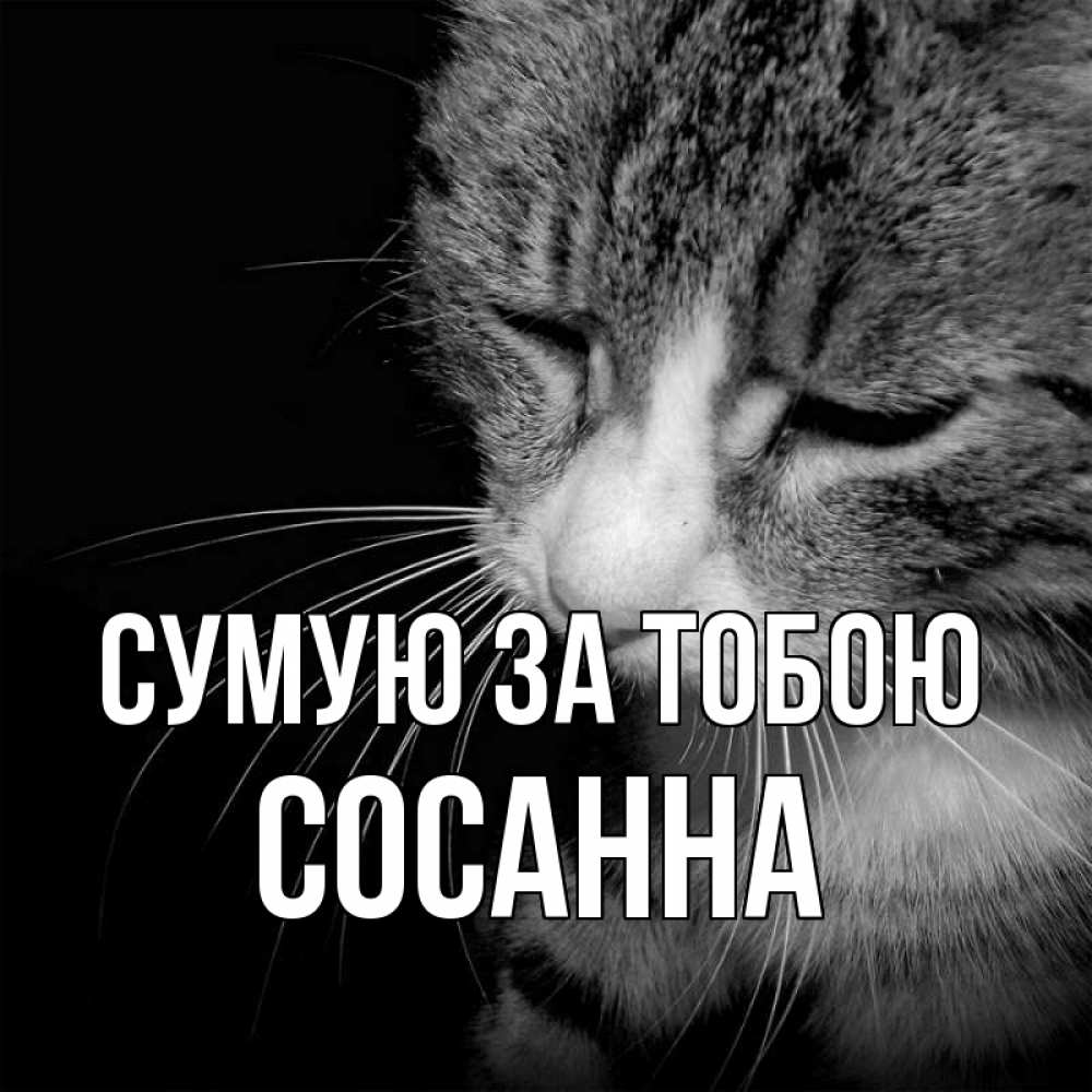 Открытка на каждый день з підписом, Сосанна Сумую за тобою мне скучно Прикольна листівка з побажанням онлайн скачати безкоштовно 