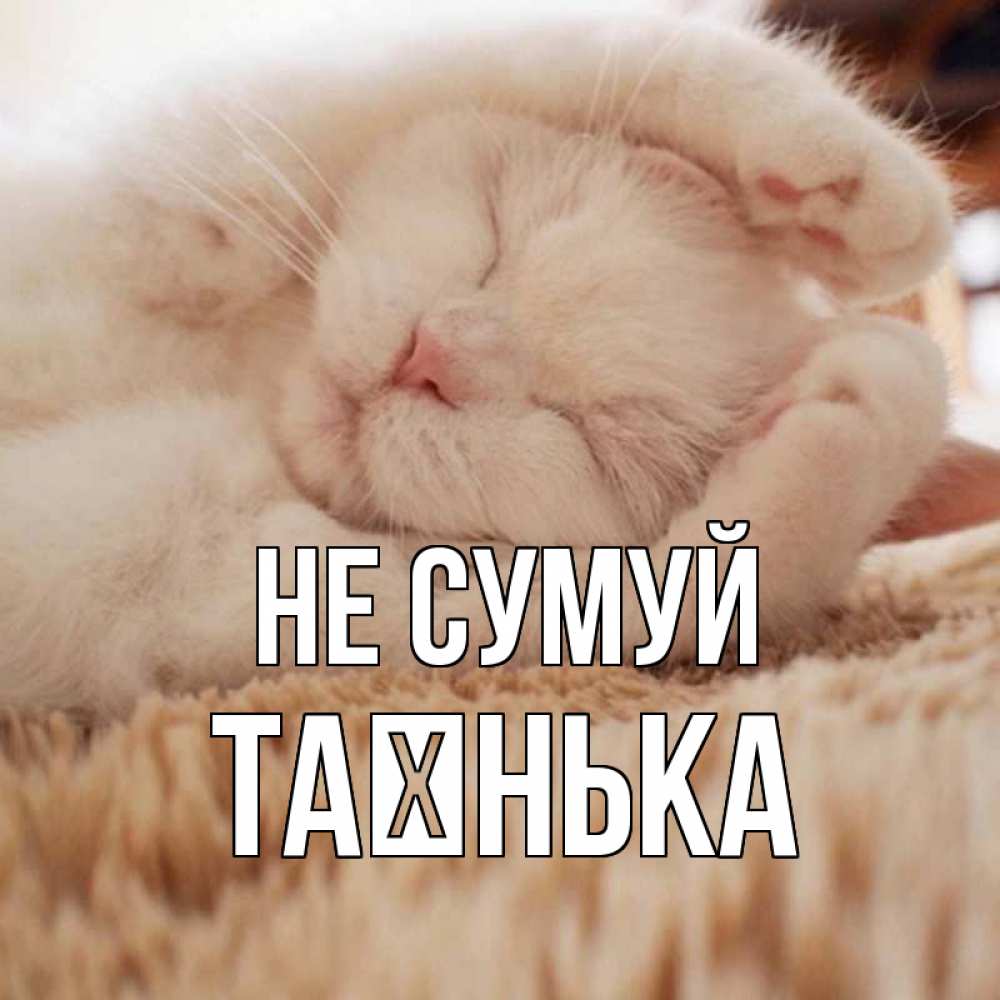 Открытка на каждый день з підписом, Таєнька Не сумуй белый кот Прикольна листівка з побажанням онлайн скачати безкоштовно 