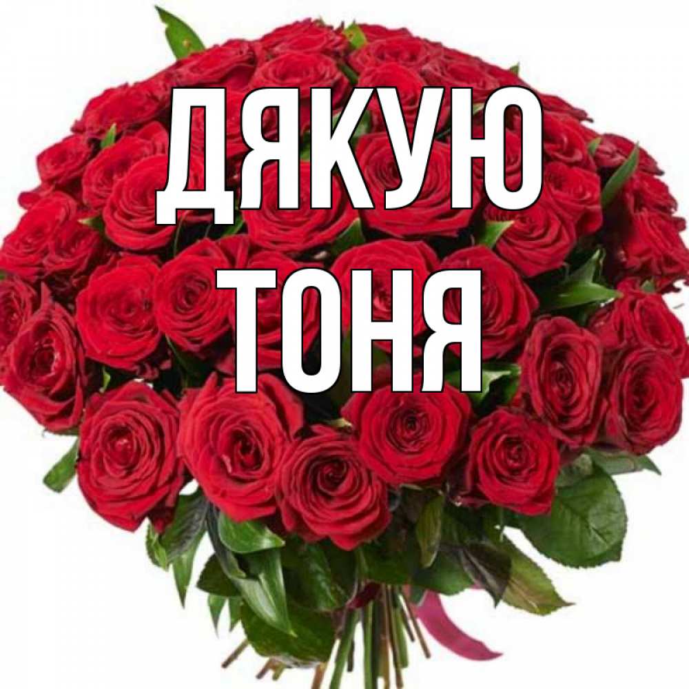Открытка на каждый день з підписом, Тоня Дякую букет красных роз Прикольна листівка з побажанням онлайн скачати безкоштовно 