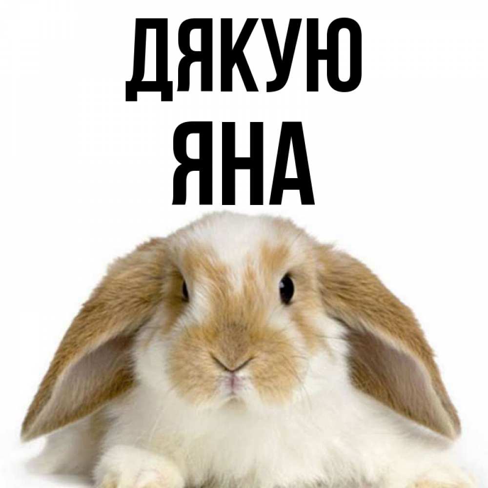 Открытка на каждый день з підписом, Яна Дякую коричнево белый заяц Прикольна листівка з побажанням онлайн скачати безкоштовно 
