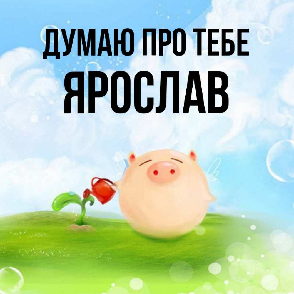 Открытка на каждый день з підписом, Ярослав Думаю про тебе позитивная свинюшка Прикольна листівка з побажанням онлайн скачати безкоштовно 