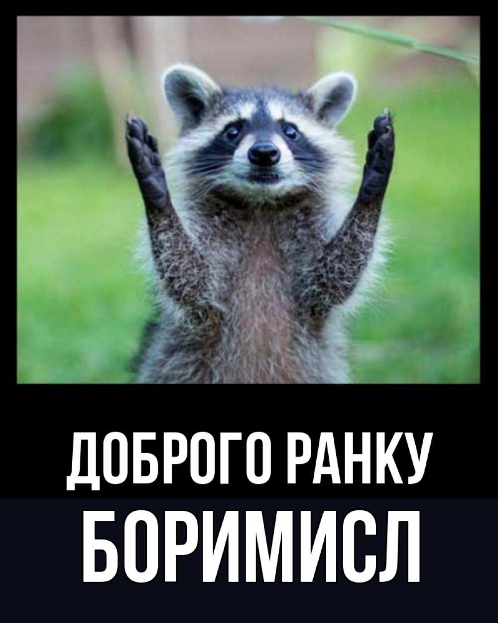 Открытка на каждый день з підписом, Боримисл Доброго ранку хорошее настроение утречком Прикольна листівка з побажанням онлайн скачати безкоштовно 