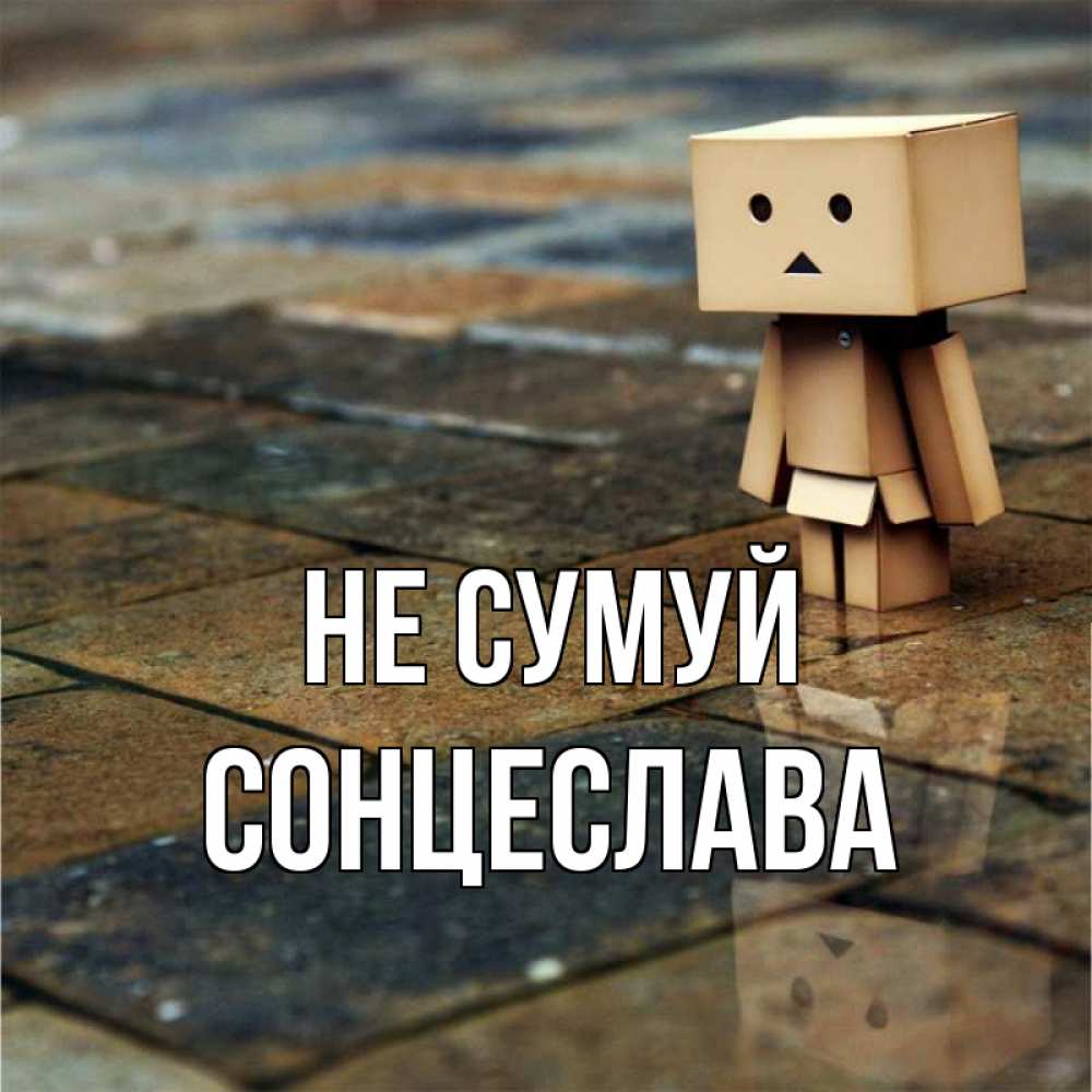 Открытка на каждый день з підписом, Сонцеслава Не сумуй Стив Прикольна листівка з побажанням онлайн скачати безкоштовно 