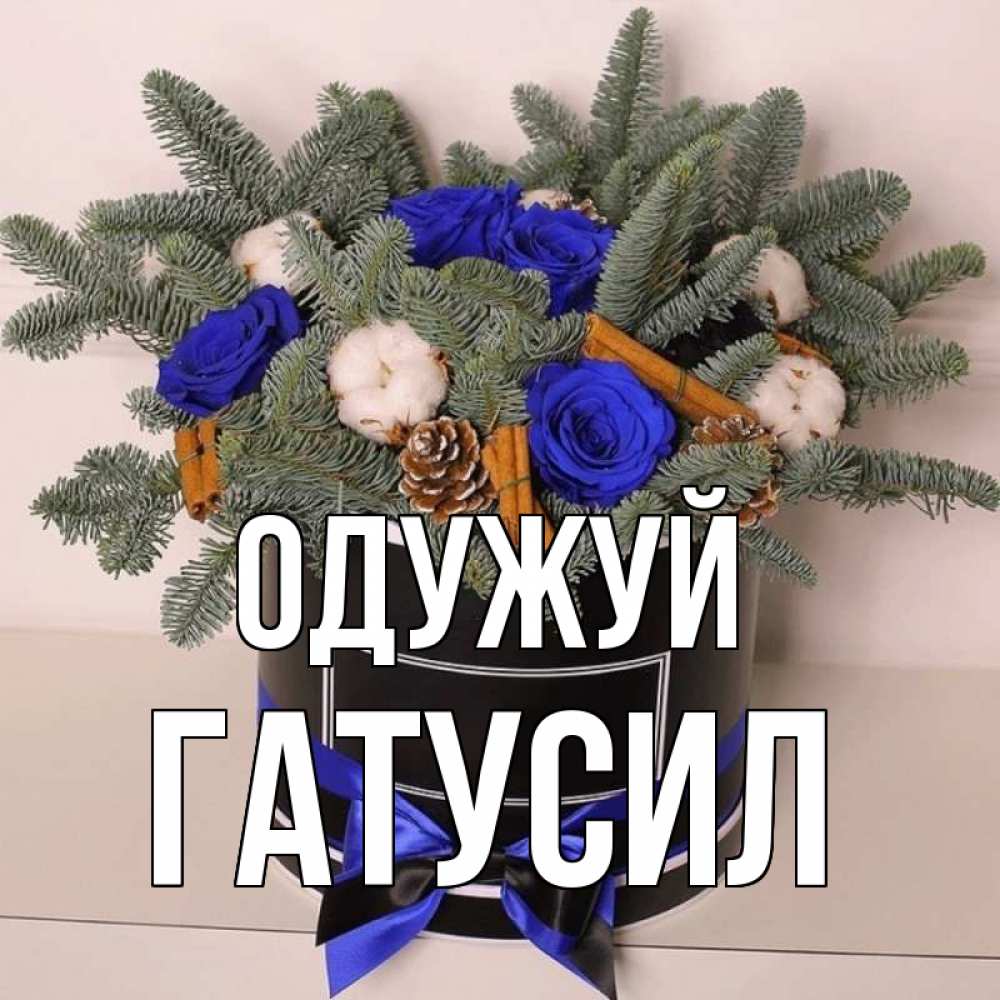 Открытка на каждый день з підписом, Гатусил Одужуй короче кто то загрузил эти шишки Прикольна листівка з побажанням онлайн скачати безкоштовно 