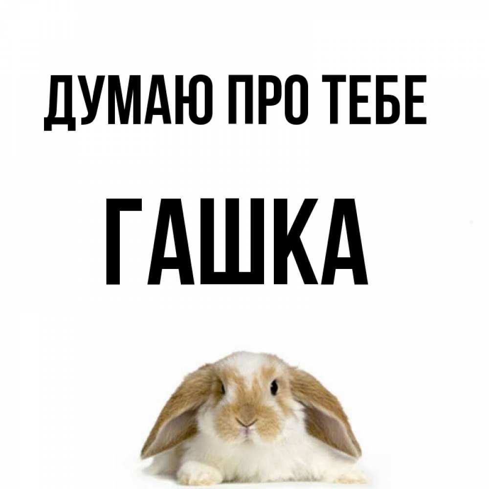 Открытка на каждый день з підписом, Гашка Думаю про тебе подписать своими руками онлайн Прикольна листівка з побажанням онлайн скачати безкоштовно 