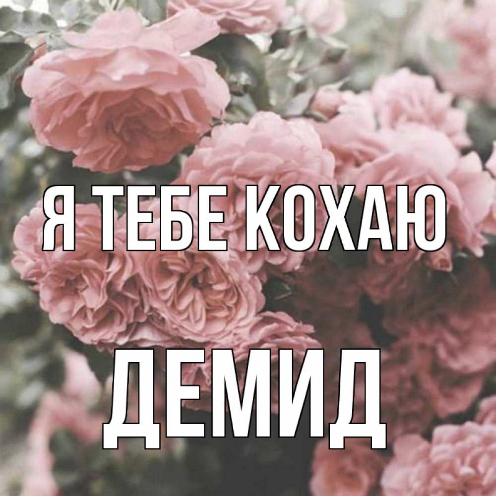 Открытка на каждый день з підписом, Демид Я тебе кохаю розы 3 Прикольна листівка з побажанням онлайн скачати безкоштовно 