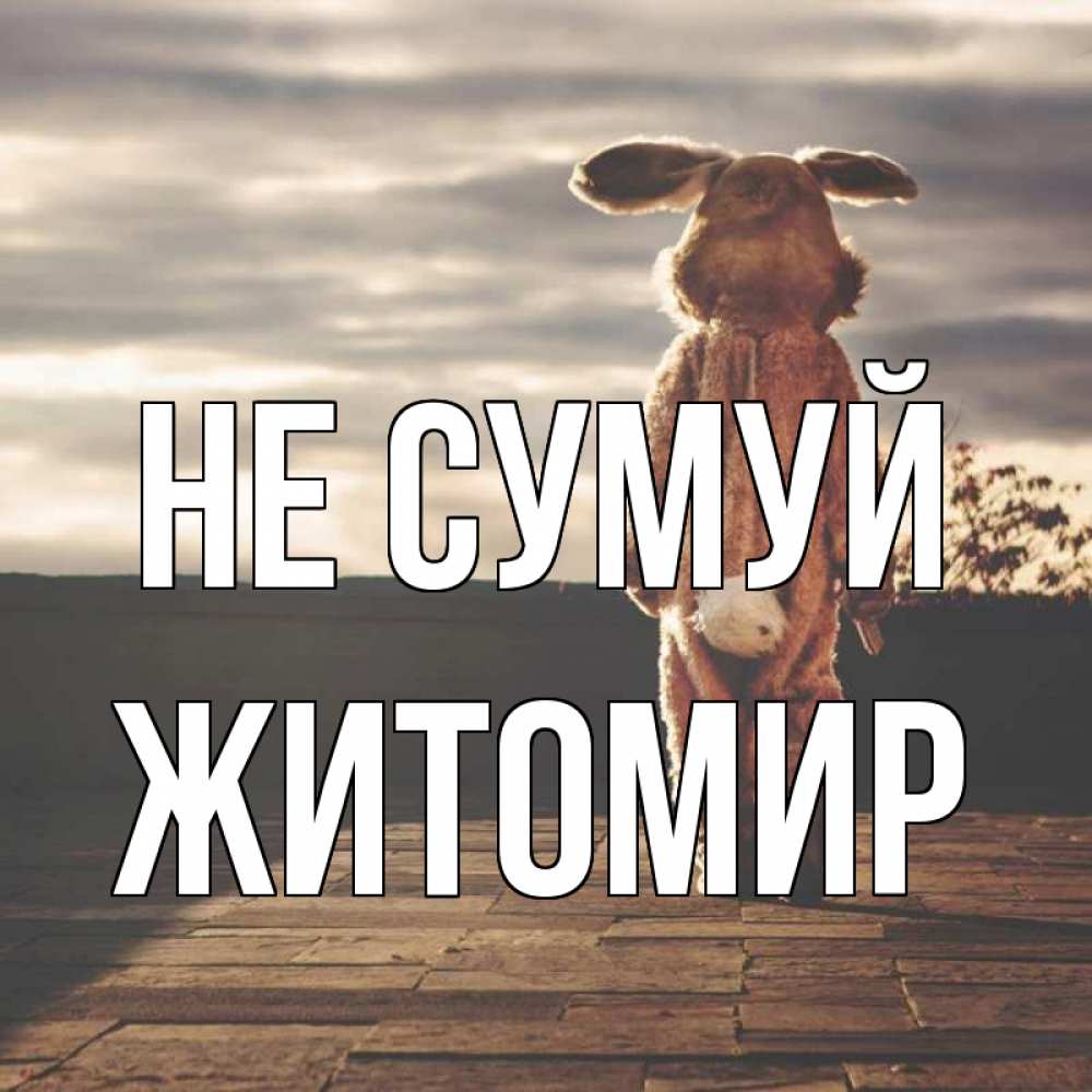 Открытка на каждый день з підписом, Житомир Не сумуй со спины Прикольна листівка з побажанням онлайн скачати безкоштовно 