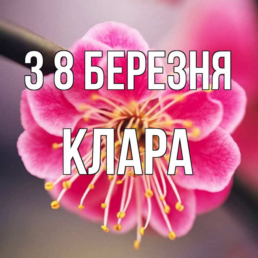 Открытка на каждый день з підписом, Клара З 8 БЕРЕЗНЯ цветы Прикольна листівка з побажанням онлайн скачати безкоштовно 