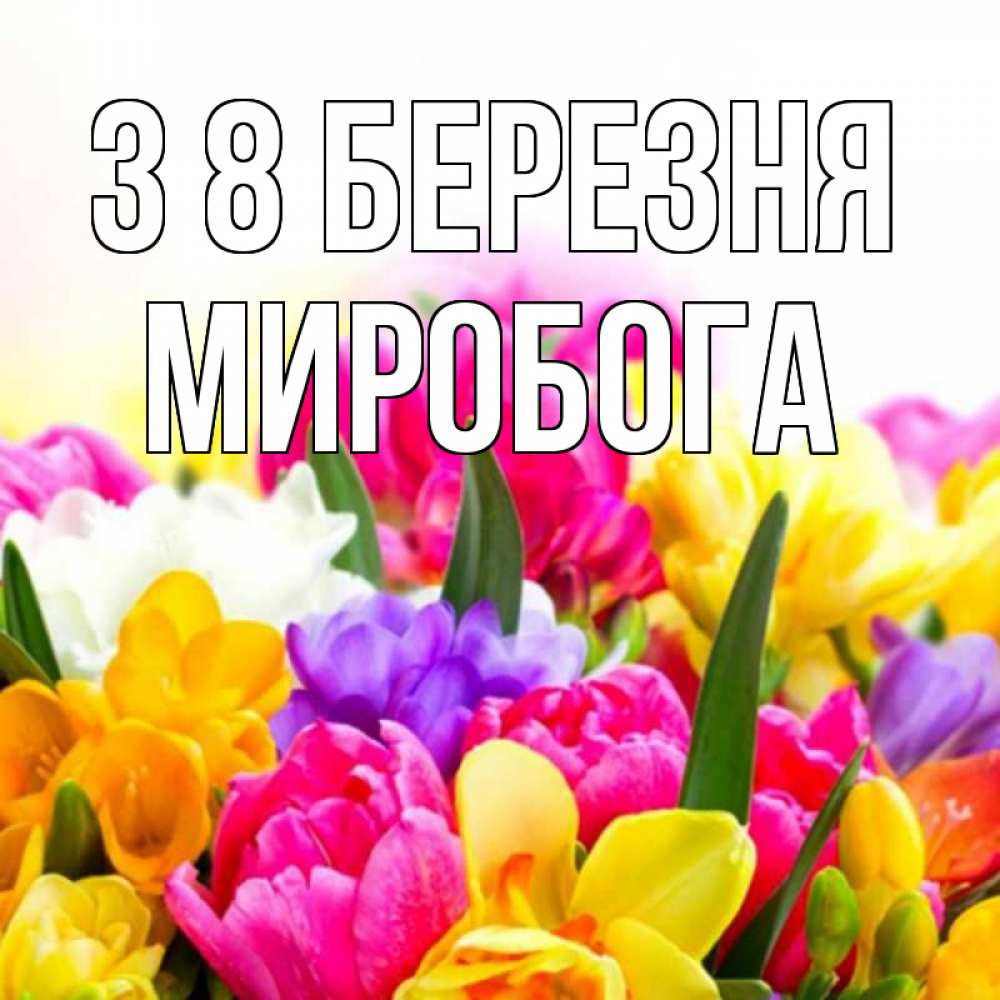 Открытка на каждый день з підписом, Миробога З 8 БЕРЕЗНЯ тюльпаны Прикольна листівка з побажанням онлайн скачати безкоштовно 