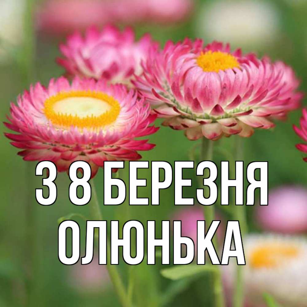 Открытка на каждый день з підписом, Олюнька З 8 БЕРЕЗНЯ подарок на международный женский день Прикольна листівка з побажанням онлайн скачати безкоштовно 