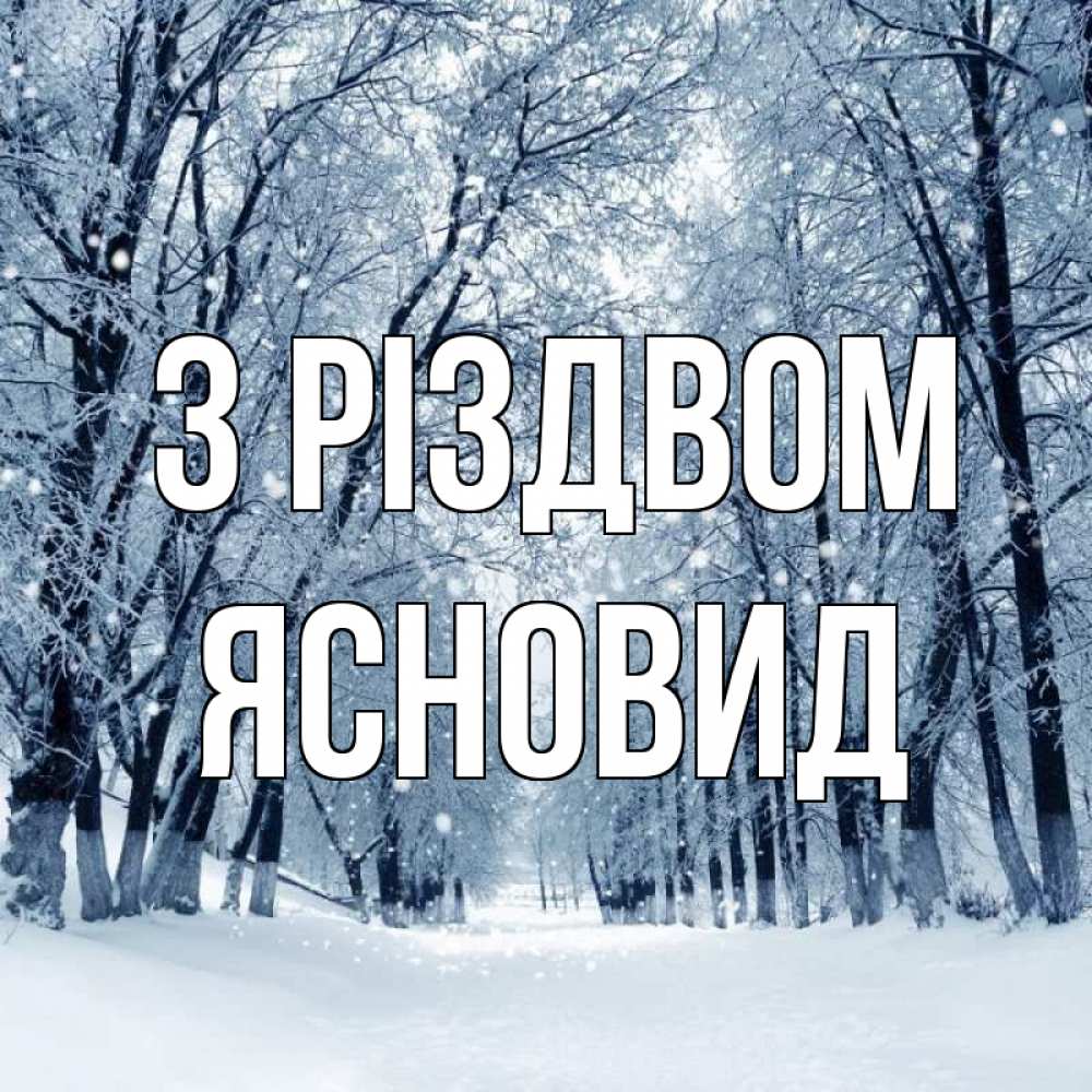 Открытка на каждый день з підписом, Ясновид З Різдвом снег, лес, парк Прикольна листівка з побажанням онлайн скачати безкоштовно 