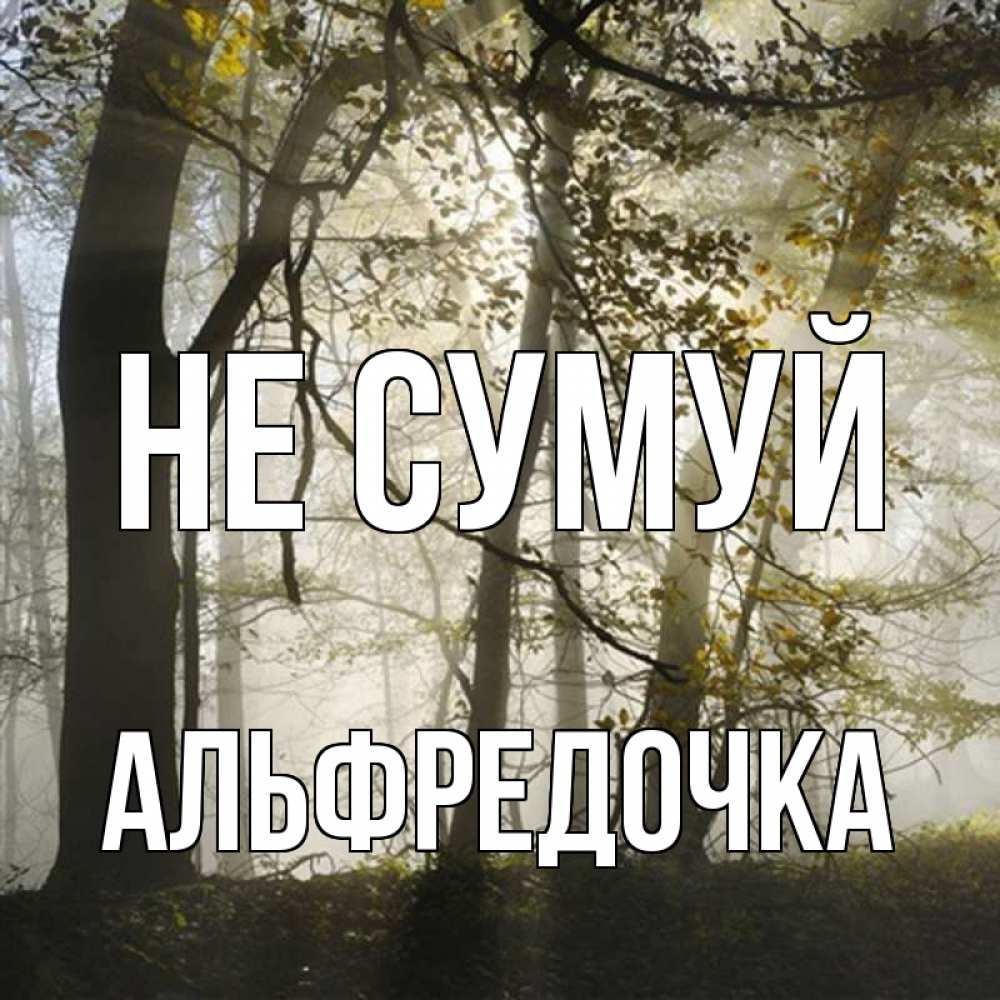Открытка на каждый день з підписом, Альфредочка Не сумуй лес и свет Прикольна листівка з побажанням онлайн скачати безкоштовно 