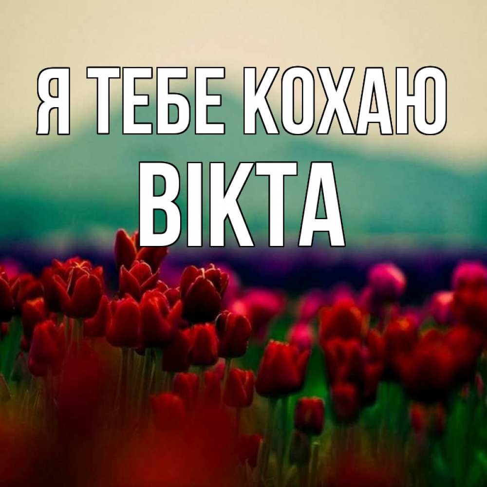 Открытка на каждый день з підписом, Вікта Я тебе кохаю тюльпаны 4 Прикольна листівка з побажанням онлайн скачати безкоштовно 