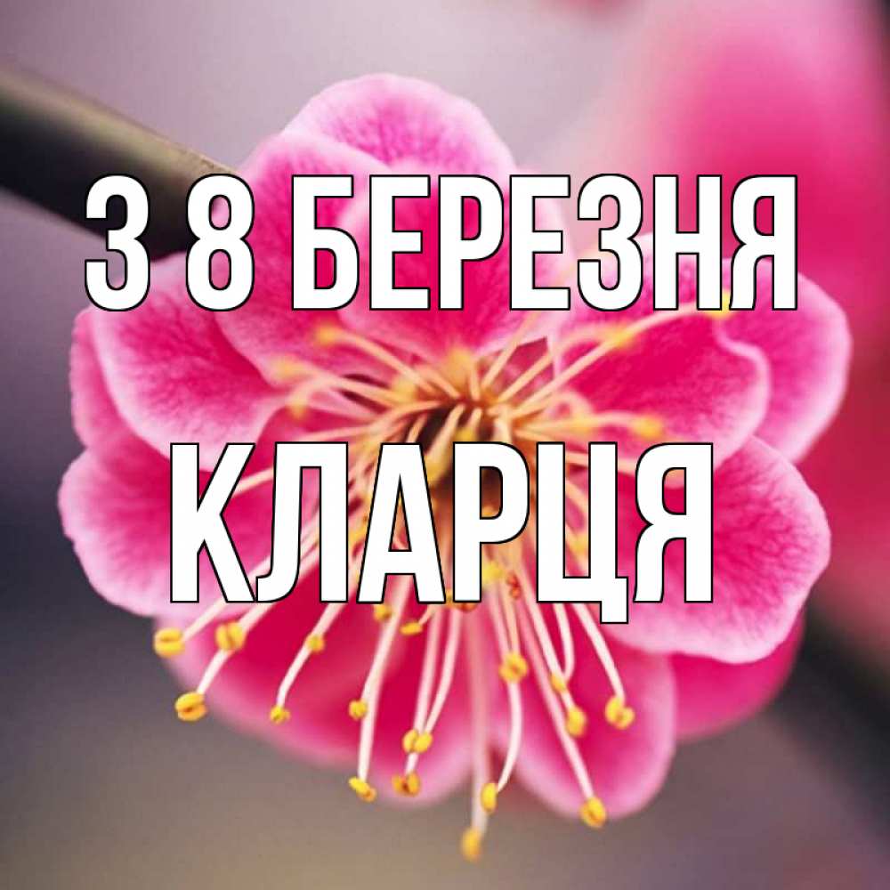Открытка на каждый день з підписом, Кларця З 8 БЕРЕЗНЯ цветы Прикольна листівка з побажанням онлайн скачати безкоштовно 