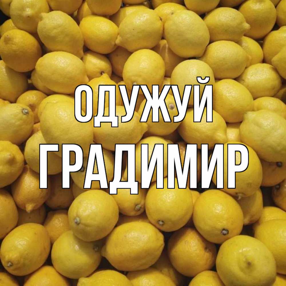 Открытка на каждый день з підписом, Градимир Одужуй это точно поможет Прикольна листівка з побажанням онлайн скачати безкоштовно 