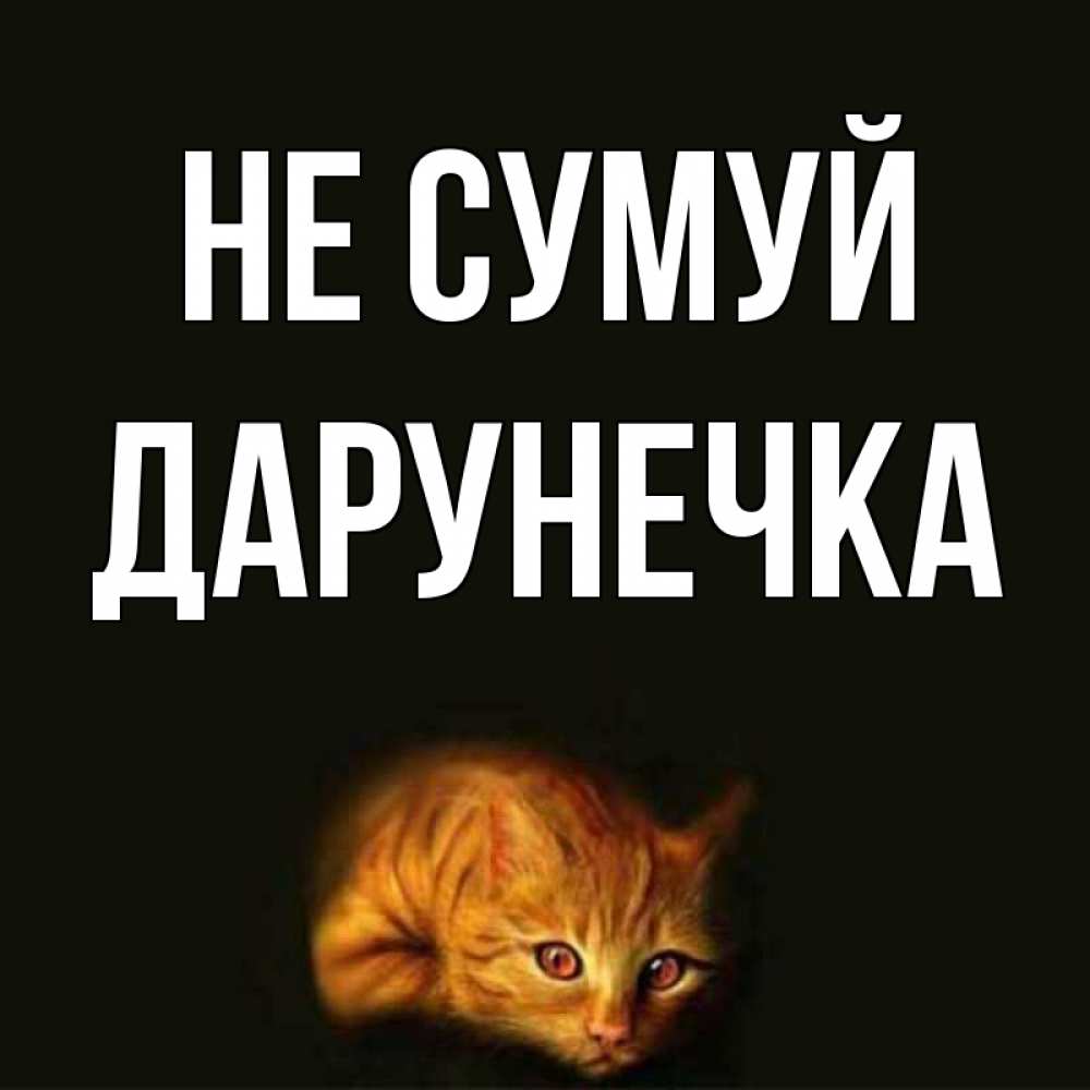 Открытка на каждый день з підписом, Дарунечка Не сумуй лежащий кот в темноте Прикольна листівка з побажанням онлайн скачати безкоштовно 