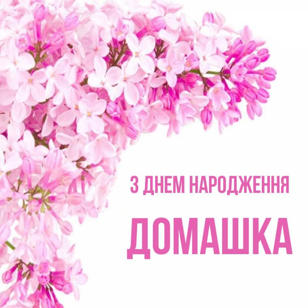 Открытка на каждый день з підписом, Домашка З Днем народження Сирень на белом фоне Прикольна листівка з побажанням онлайн скачати безкоштовно 