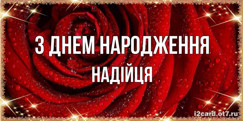 Открытка на каждый день з підписом, Надійця З Днем народження роса на розе блестящая в лучах солнца Прикольна листівка з побажанням онлайн скачати безкоштовно 
