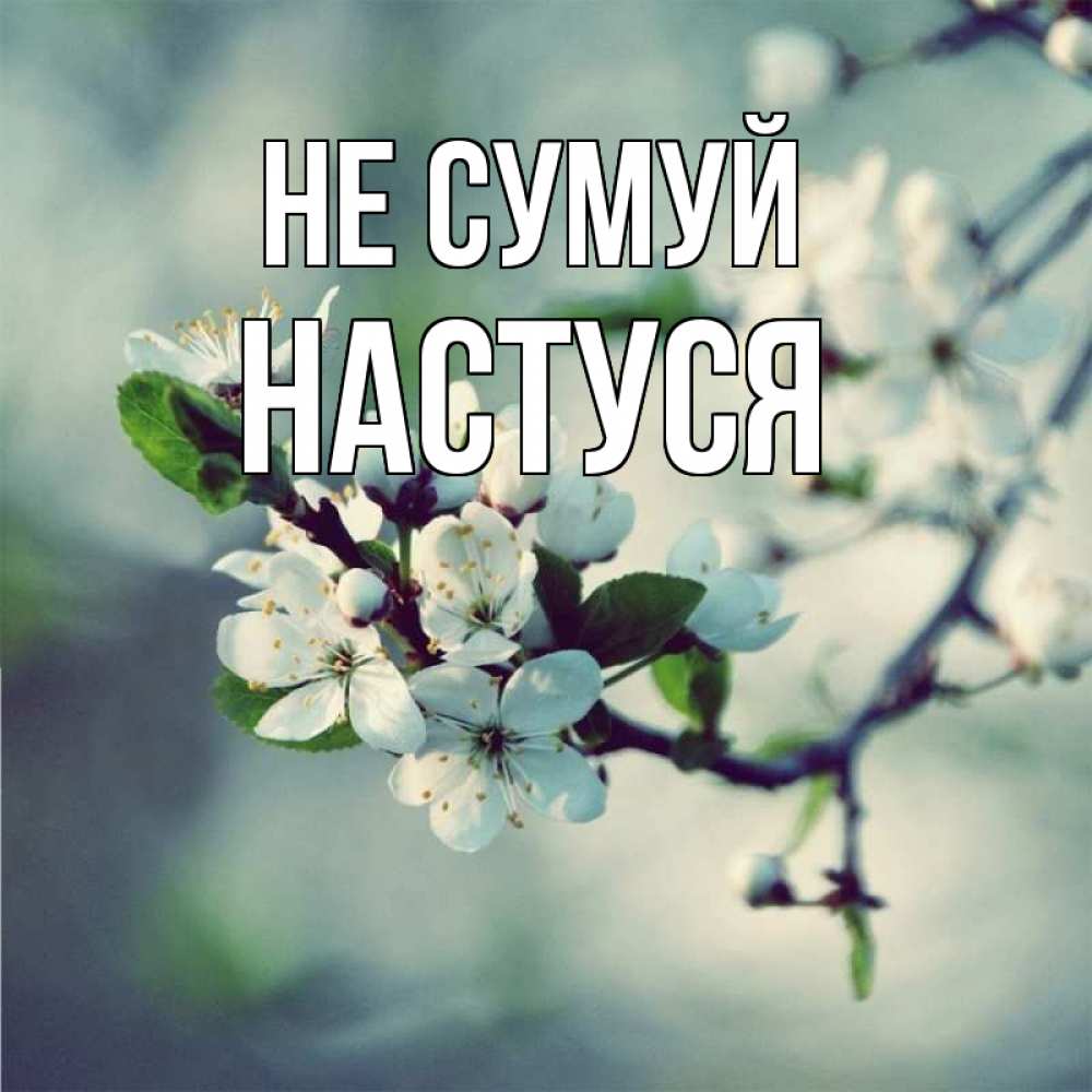 Открытка на каждый день з підписом, Настуся Не сумуй яблоня в цвету 1 Прикольна листівка з побажанням онлайн скачати безкоштовно 