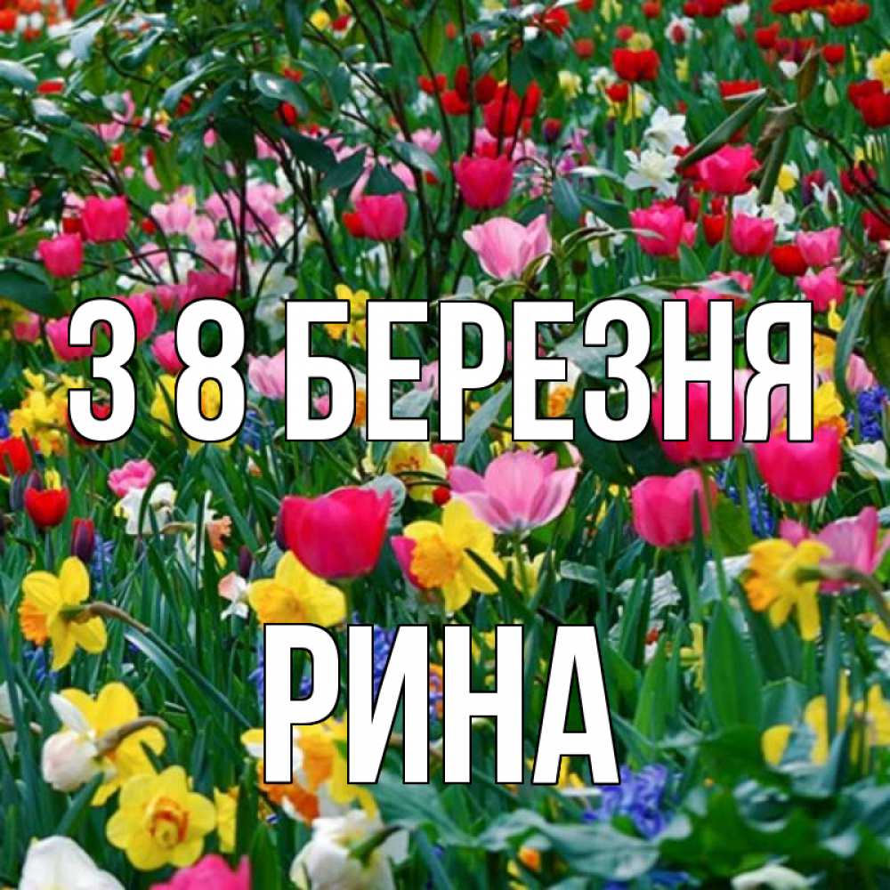 Открытка на каждый день з підписом, Рина З 8 БЕРЕЗНЯ с международным женским днем поздравления для женщины Прикольна листівка з побажанням онлайн скачати безкоштовно 