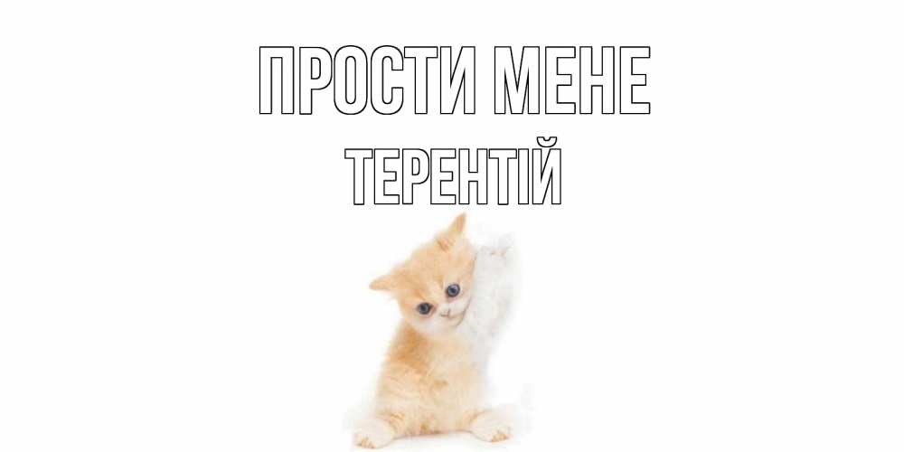 Открытка на каждый день з підписом, Терентій Прости мене кот Прикольна листівка з побажанням онлайн скачати безкоштовно 