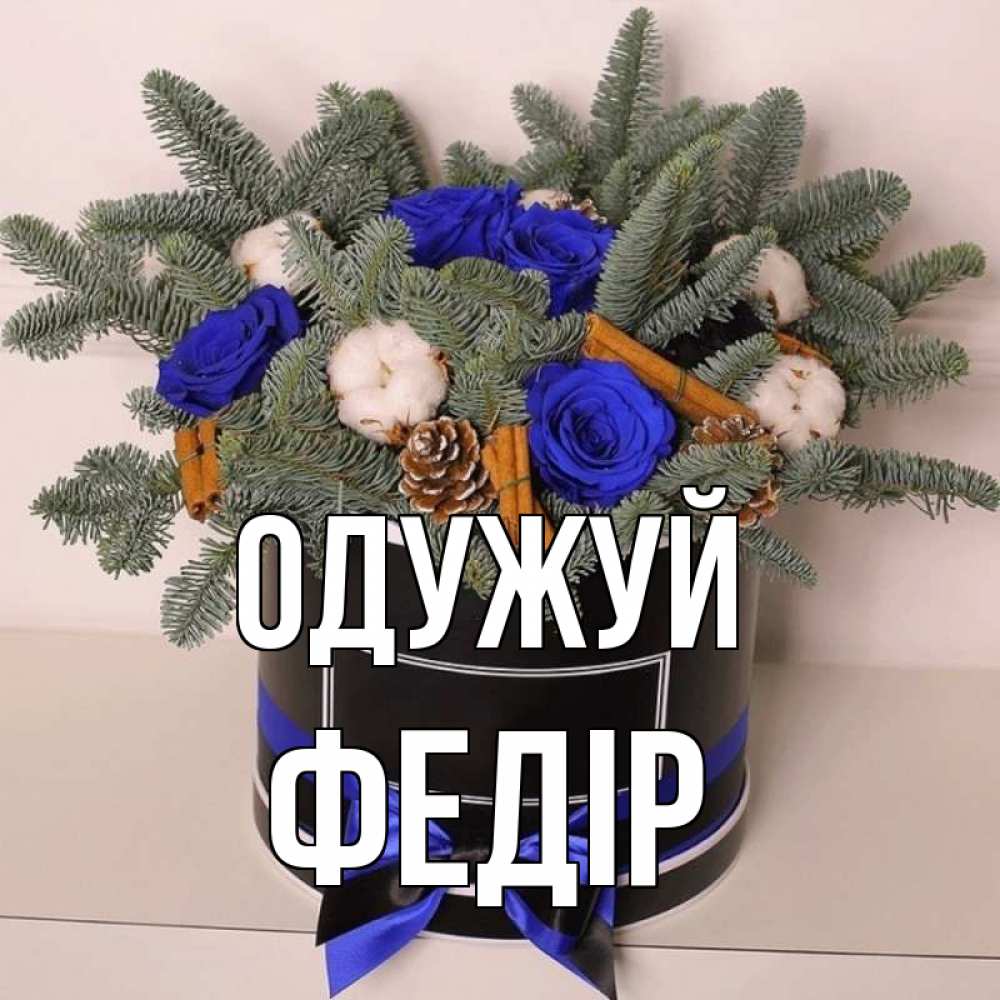 Открытка на каждый день з підписом, Федір Одужуй короче кто то загрузил эти шишки Прикольна листівка з побажанням онлайн скачати безкоштовно 