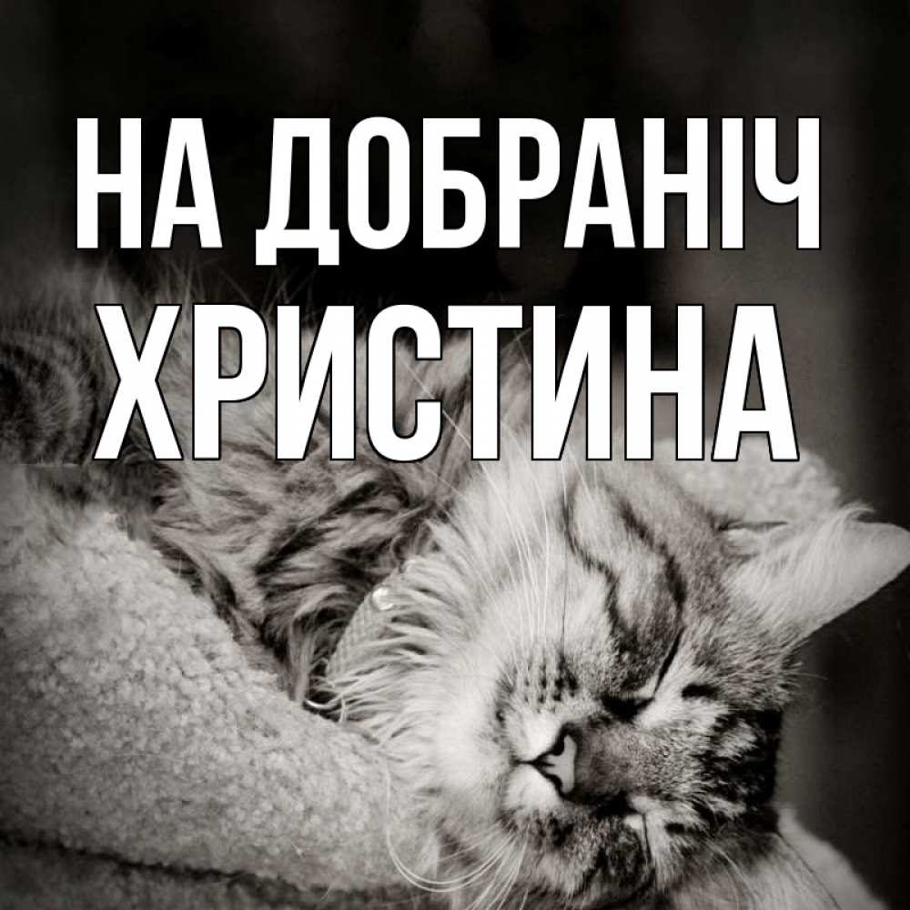 Открытка на каждый день з підписом, Христина На добраніч котярик пушистый Прикольна листівка з побажанням онлайн скачати безкоштовно 