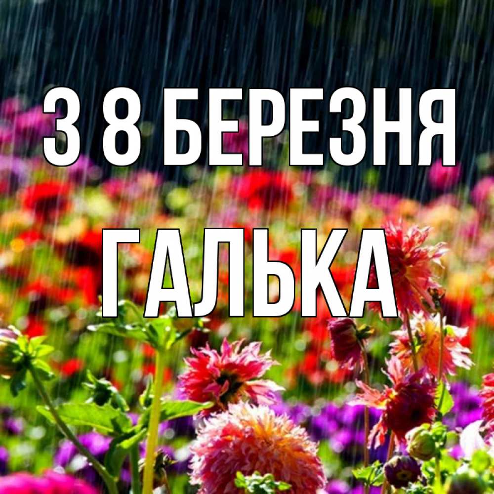 Открытка на каждый день з підписом, Галька З 8 БЕРЕЗНЯ цветы под дождиком к международному женскому дню Прикольна листівка з побажанням онлайн скачати безкоштовно 