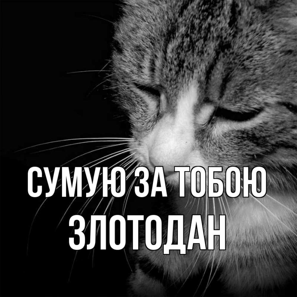 Открытка на каждый день з підписом, Злотодан Сумую за тобою мне скучно Прикольна листівка з побажанням онлайн скачати безкоштовно 