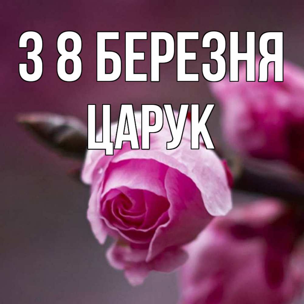 Открытка на каждый день з підписом, Царук З 8 БЕРЕЗНЯ весна Прикольна листівка з побажанням онлайн скачати безкоштовно 