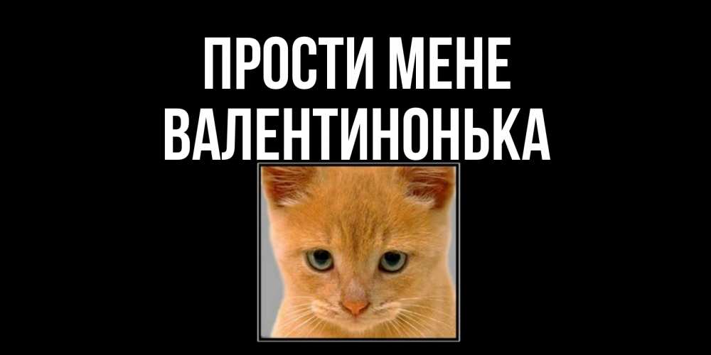 Открытка на каждый день з підписом, Валентинонька Прости мене рыжий грустный кот просит прощения Прикольна листівка з побажанням онлайн скачати безкоштовно 