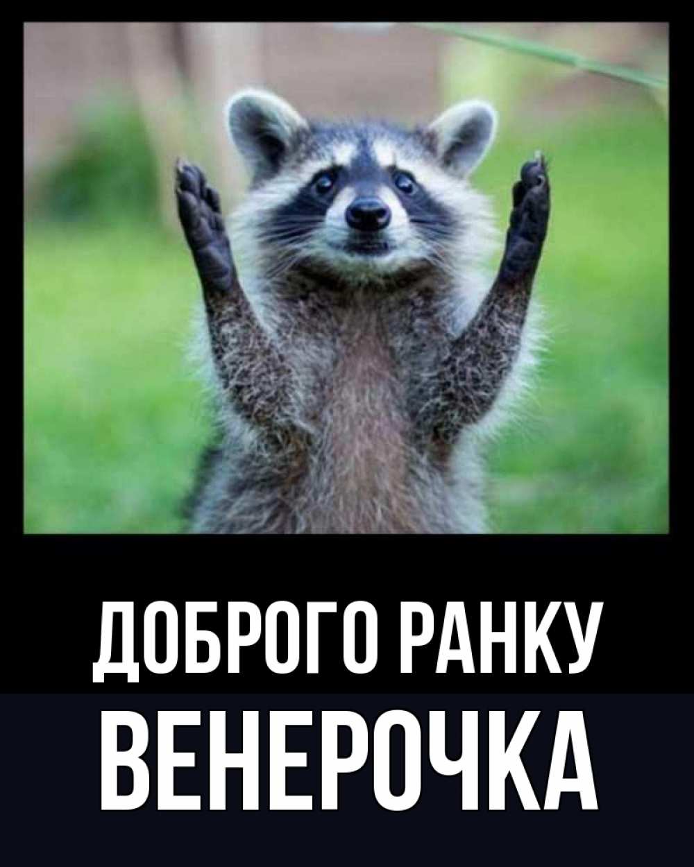 Открытка на каждый день з підписом, Венерочка Доброго ранку хорошее настроение утречком Прикольна листівка з побажанням онлайн скачати безкоштовно 