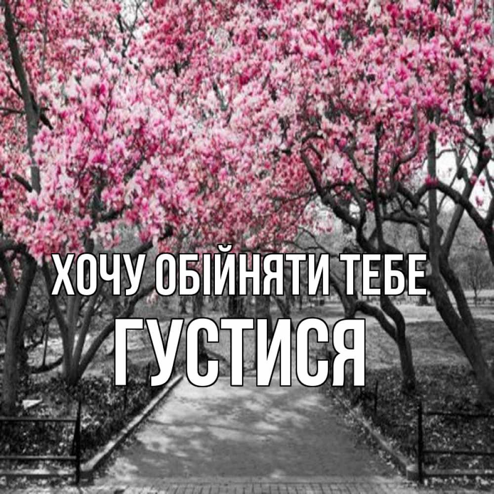 Открытка на каждый день з підписом, Густися Хочу обійняти тебе обработанное фото Прикольна листівка з побажанням онлайн скачати безкоштовно 