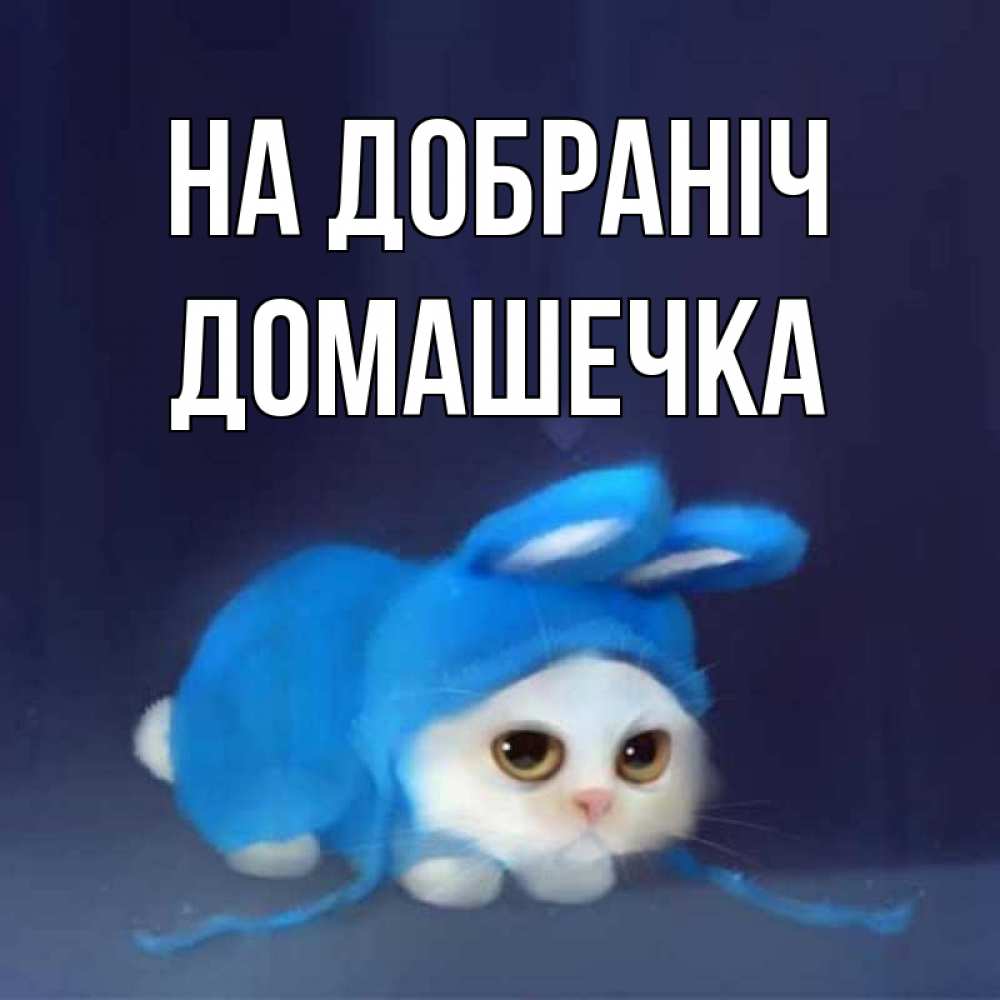 Открытка на каждый день з підписом, Домашечка На добраніч кот в голубом костюме кролика с ушками Прикольна листівка з побажанням онлайн скачати безкоштовно 