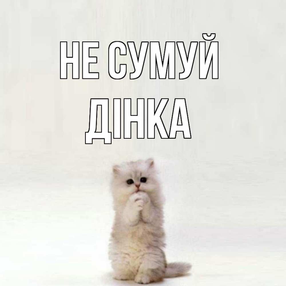 Открытка на каждый день з підписом, Дінка Не сумуй грустный кот Прикольна листівка з побажанням онлайн скачати безкоштовно 