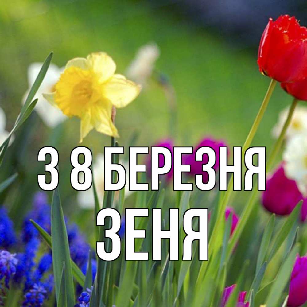 Открытка на каждый день з підписом, Зеня З 8 БЕРЕЗНЯ международный женский день 3 Прикольна листівка з побажанням онлайн скачати безкоштовно 
