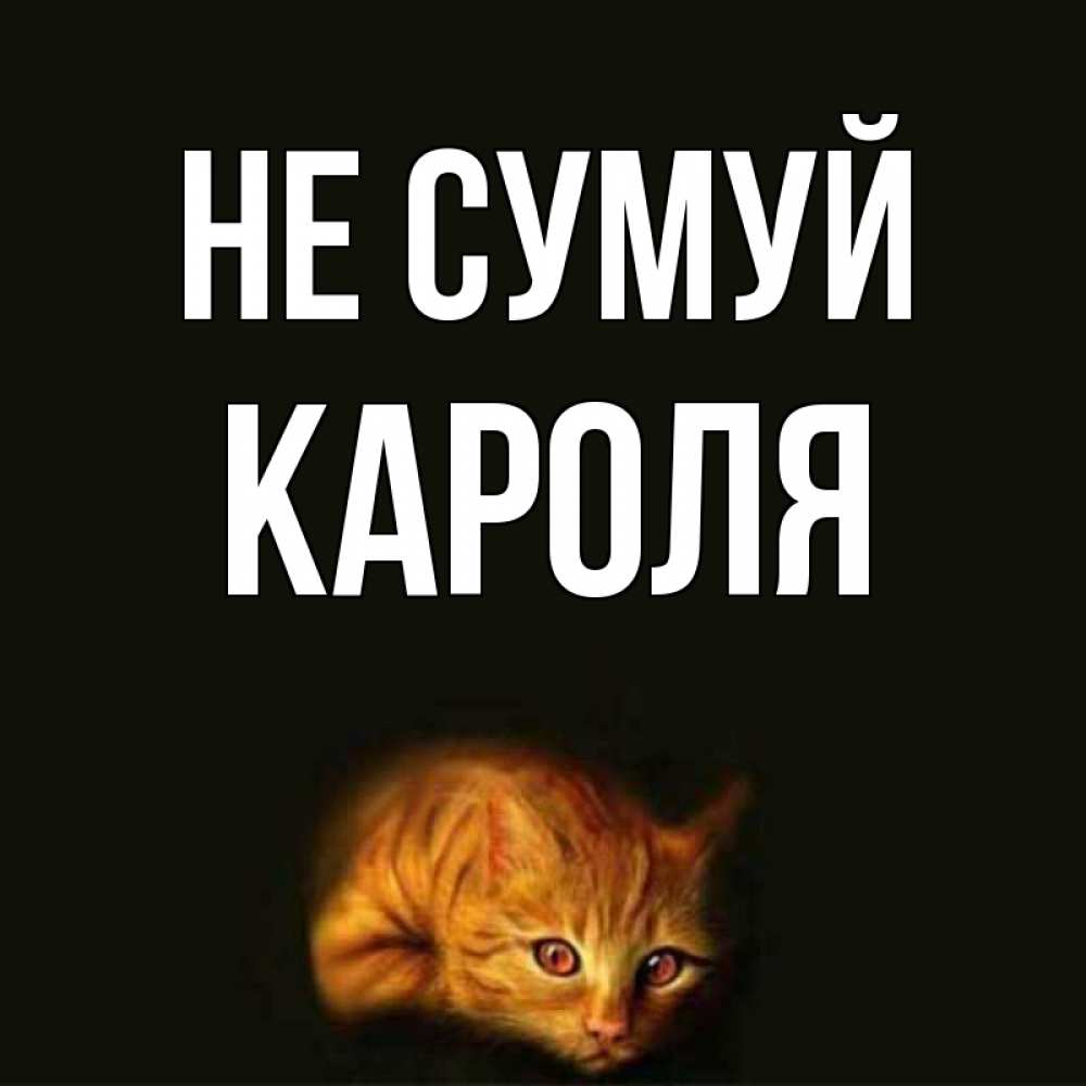 Открытка на каждый день з підписом, Кароля Не сумуй лежащий кот в темноте Прикольна листівка з побажанням онлайн скачати безкоштовно 