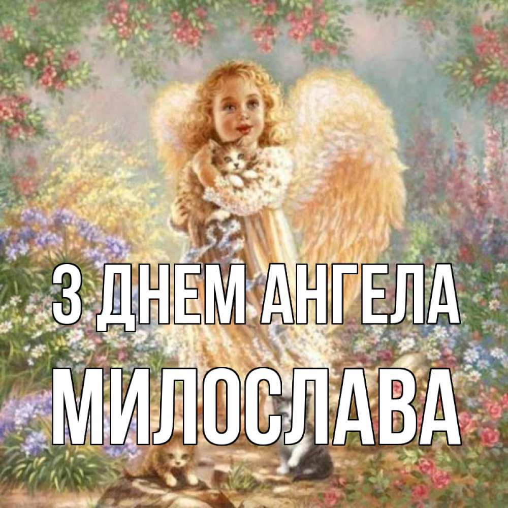 Открытка на каждый день з підписом, Милослава З Днем ангела держит котенка Прикольна листівка з побажанням онлайн скачати безкоштовно 