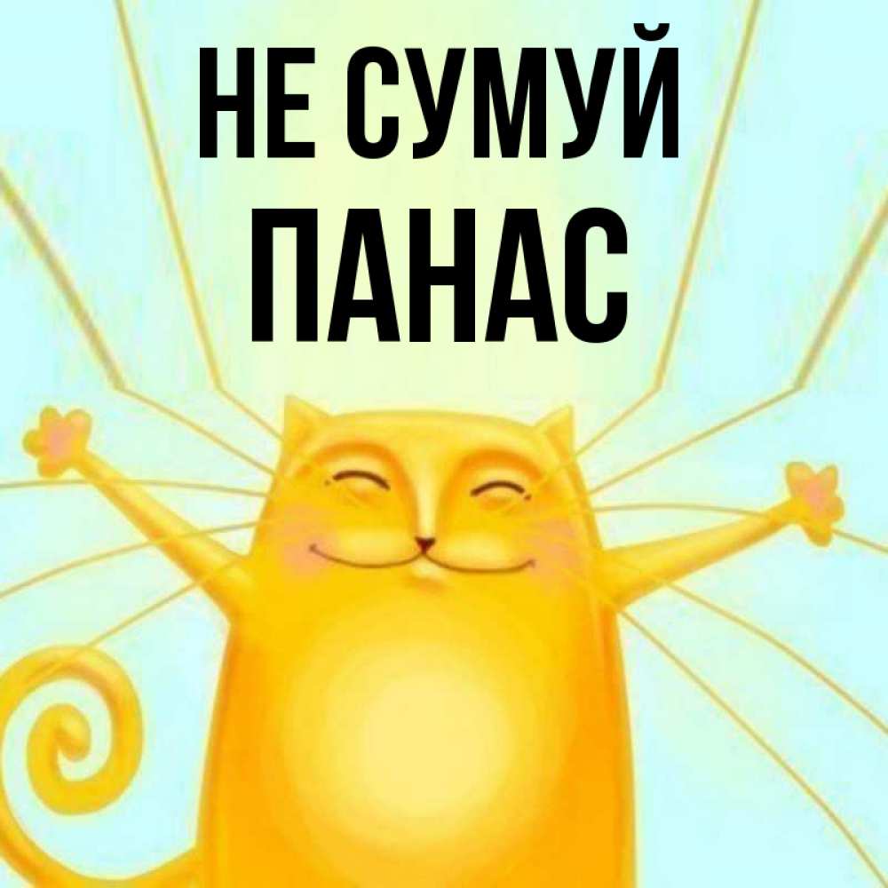 Открытка на каждый день з підписом, Панас Не сумуй обнимашки усатые Прикольна листівка з побажанням онлайн скачати безкоштовно 