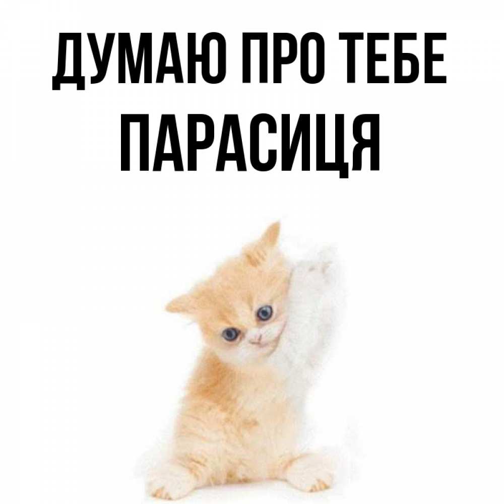 Открытка на каждый день з підписом, Парасиця Думаю про тебе зверушки и милота Прикольна листівка з побажанням онлайн скачати безкоштовно 