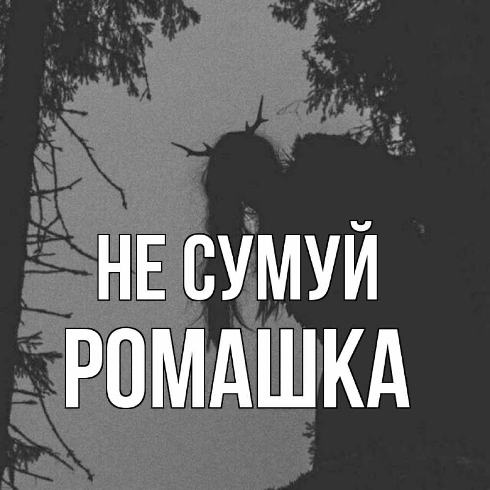 Открытка на каждый день з підписом, Ромашка Не сумуй чудище лесное Прикольна листівка з побажанням онлайн скачати безкоштовно 